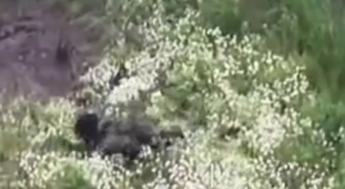 Two russian attack troopers finish themselves off