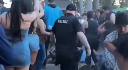 Hispanic booby fight