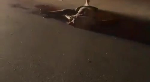 Hit & Run