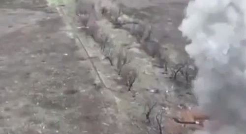 The flight of the russian liberator over the forest plantation
