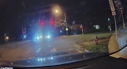 Biker Fucking Flies In Vermont!