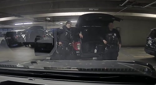 Cop On Cop Violence