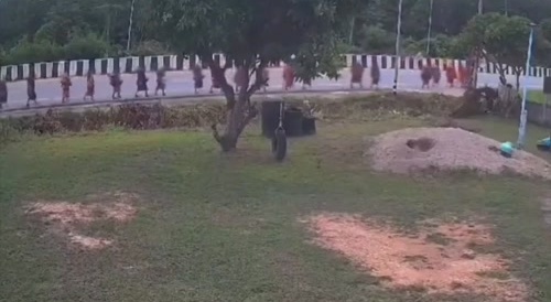 monks ran over by car