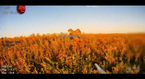 Mass extermination of Ukrainian soldiers.