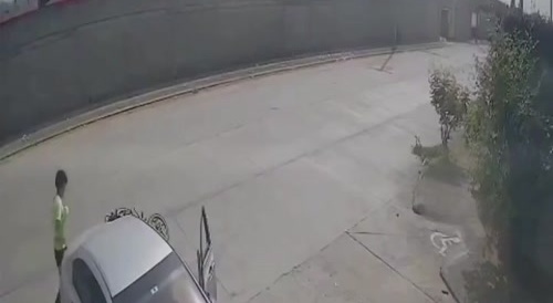 Stolen license