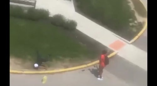 An ordinary day in the U.S. suburbs.