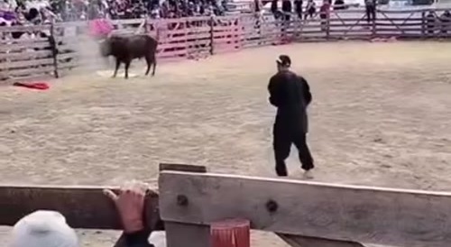 Drunk Guy vs Bull