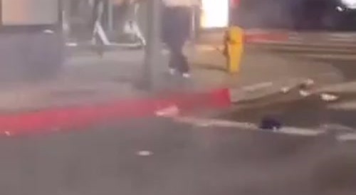 Fireworks, fingers and stupidity