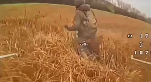 Hunting for blackrus.