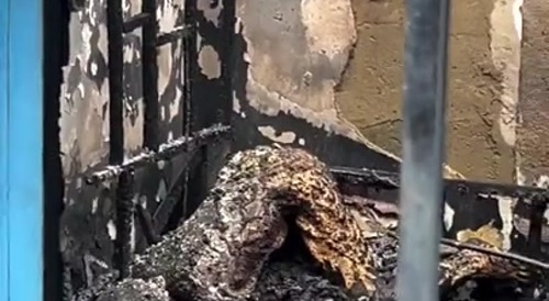 Face Down, Ass Up