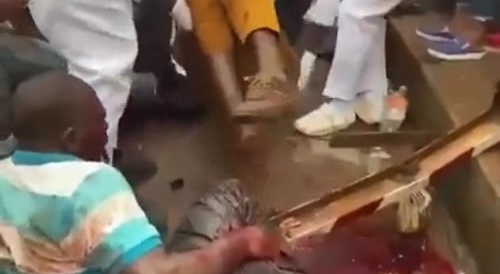Gore In Cameroon