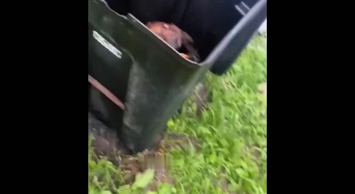 Chicago Woman Found In Trash