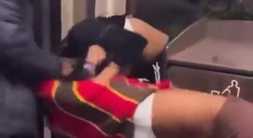 Hungry Ratchets Fight Over Fried Chicken