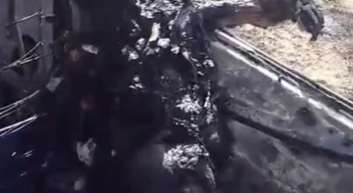 Clean-Up In Brazil