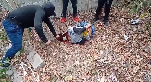Finally, a Sharp Machete