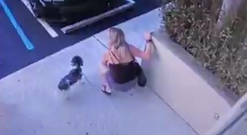 Shitty Woman Takes a Shit like a Dog Would