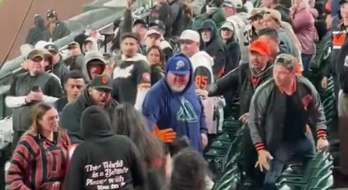 Baseball Fans Fight in Stands