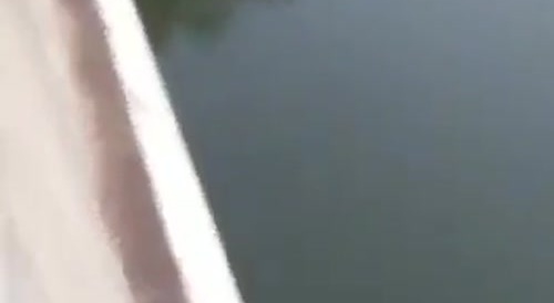 Oh Look, His Stupid Ass Can't Swim...