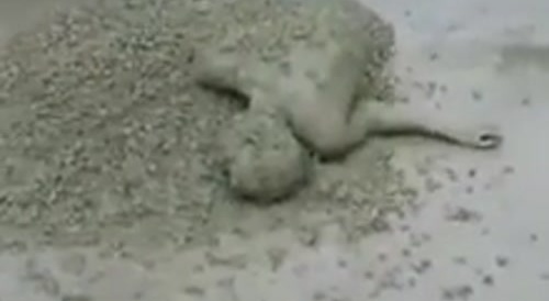 He wanted to be Hard as Concrete