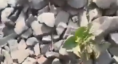 This Isn't How You Take A Video