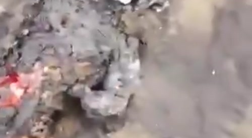 Fried russian helicopter pilot.