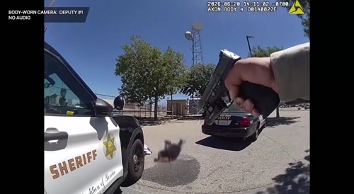 Guy Stabs Cop, Cops Shoot Stabber