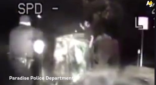 Cop shoots man getting out of wreck