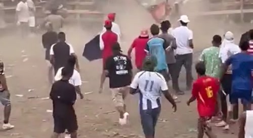 Bull Kills Another