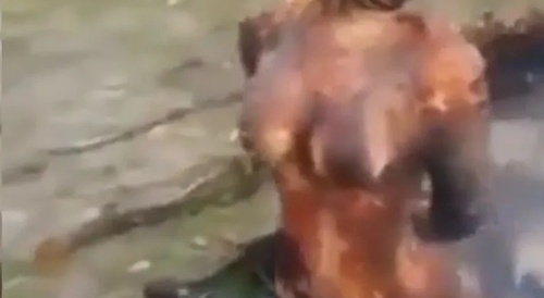 Roasted Witch Boobies