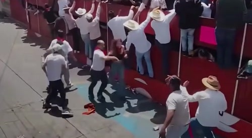 Latina v Bull
