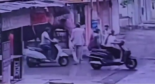 Elephant Steps On Driver
