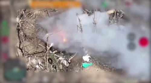 Two swarming putinoids are burned alive.