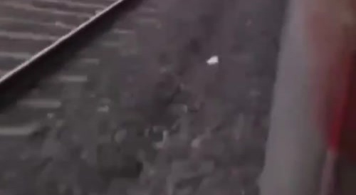 This Week's Indian Train Stunt
