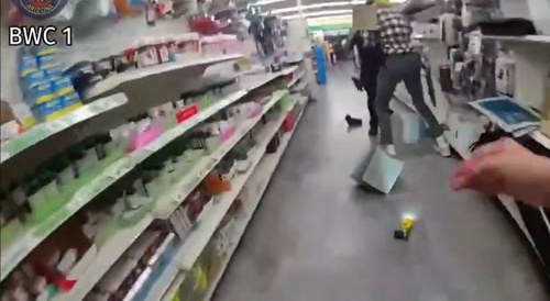 Why are Female Cops Useless?