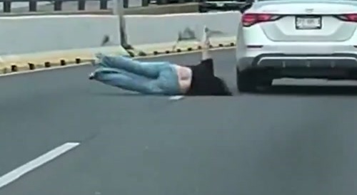 Latina Road Rage Alligator Roll