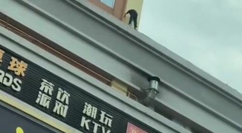 I Bet This Hurt