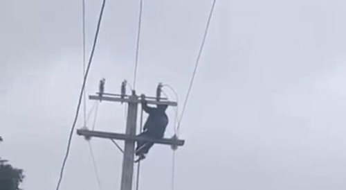 Cameroon Pole Dancer