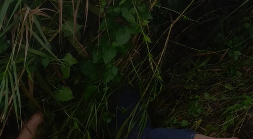 Thailand-Transwoman Sales Lady Killed and Dumped