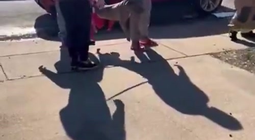 Dog Randomly Bites Postal Worker
