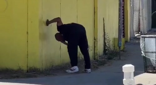 Tweaker Took Wrong Drugs - Cali