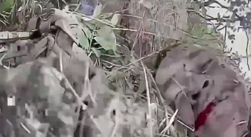 A drone observes the half-dead head of a putin terrorist, and then explodes.