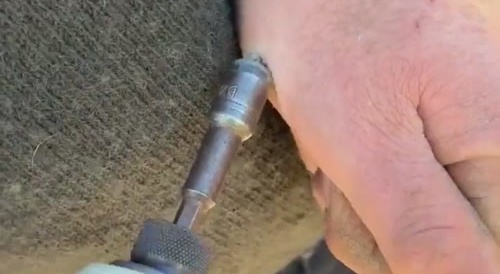 He Got Screwed