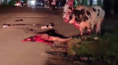 Drunk Guy Finds Bull In India