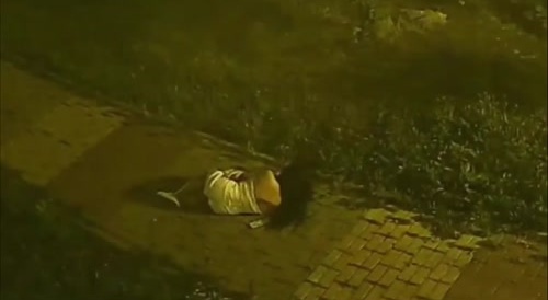 Drunk Russian Asshole Beats His GF