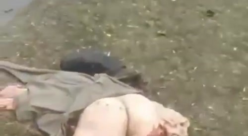 All that was left of the orc was a torn ass.
