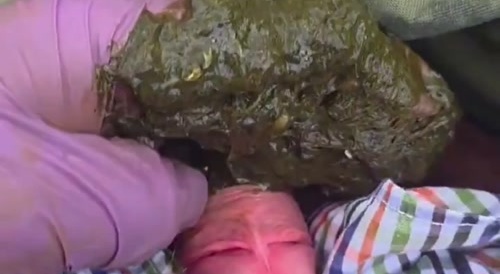 Farmer Plays With Himself In Cow Shit