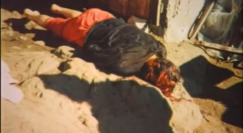 His wife struck him on the head with an axe.