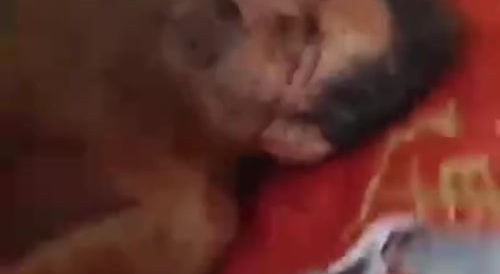 Nutty Bitch Stabs Her Sick Father And Records It