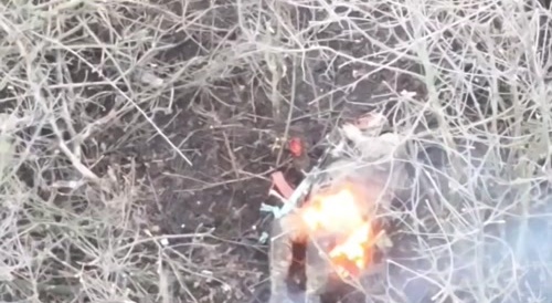 A burning occupier tries to shoot himself, but is burned alive.