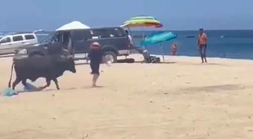 BULLATTACK ON THE BEACH!!!